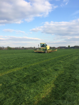 Gras maaien met krone Big M eventueel op zwad