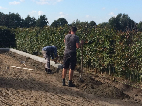 Aanleggen Paardenpiste