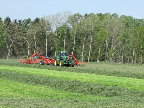 Gras harken tot 15 meter 1 werkgang.