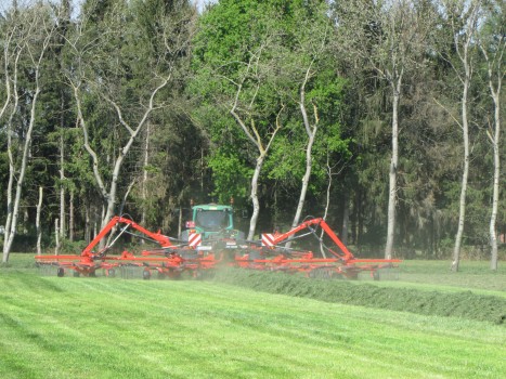 Gras harken tot 15 meter 1 werkgang.