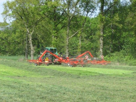 Gras harken tot 15 meter 1 werkgang.