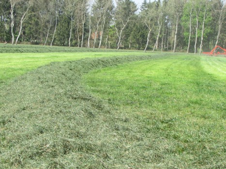 Gras harken tot 15 meter 1 werkgang.