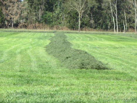 Gras harken tot 15 meter 1 werkgang.